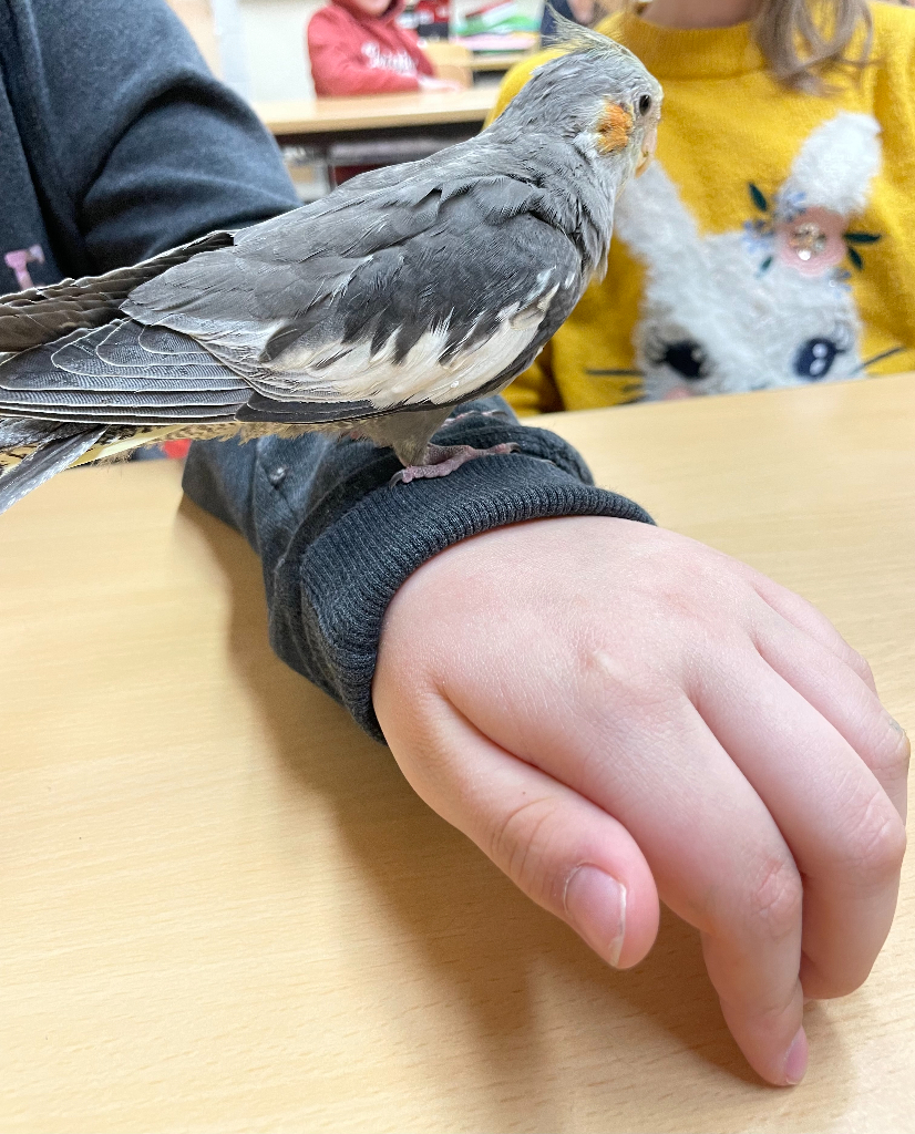 Tierischer Besuch in Klasse 3