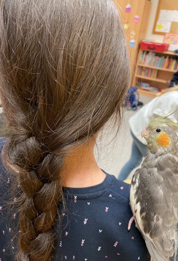 Tierischer Besuch in Klasse 3